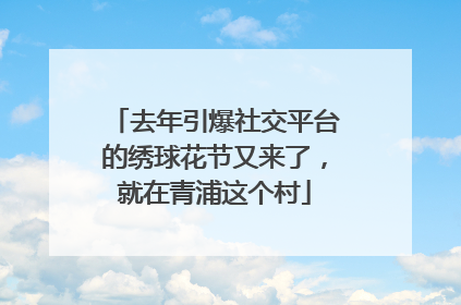 去年引爆社交平台的绣球花节又来了，就在青浦这个村